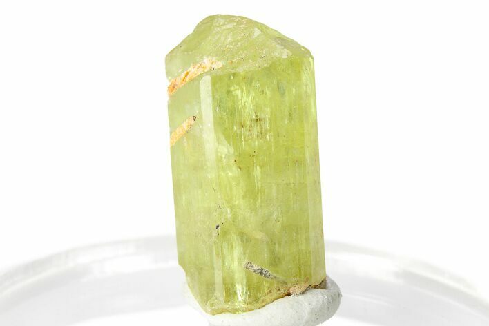 Gemmy Yellow-Green Apatite Crystal - Morocco #276519